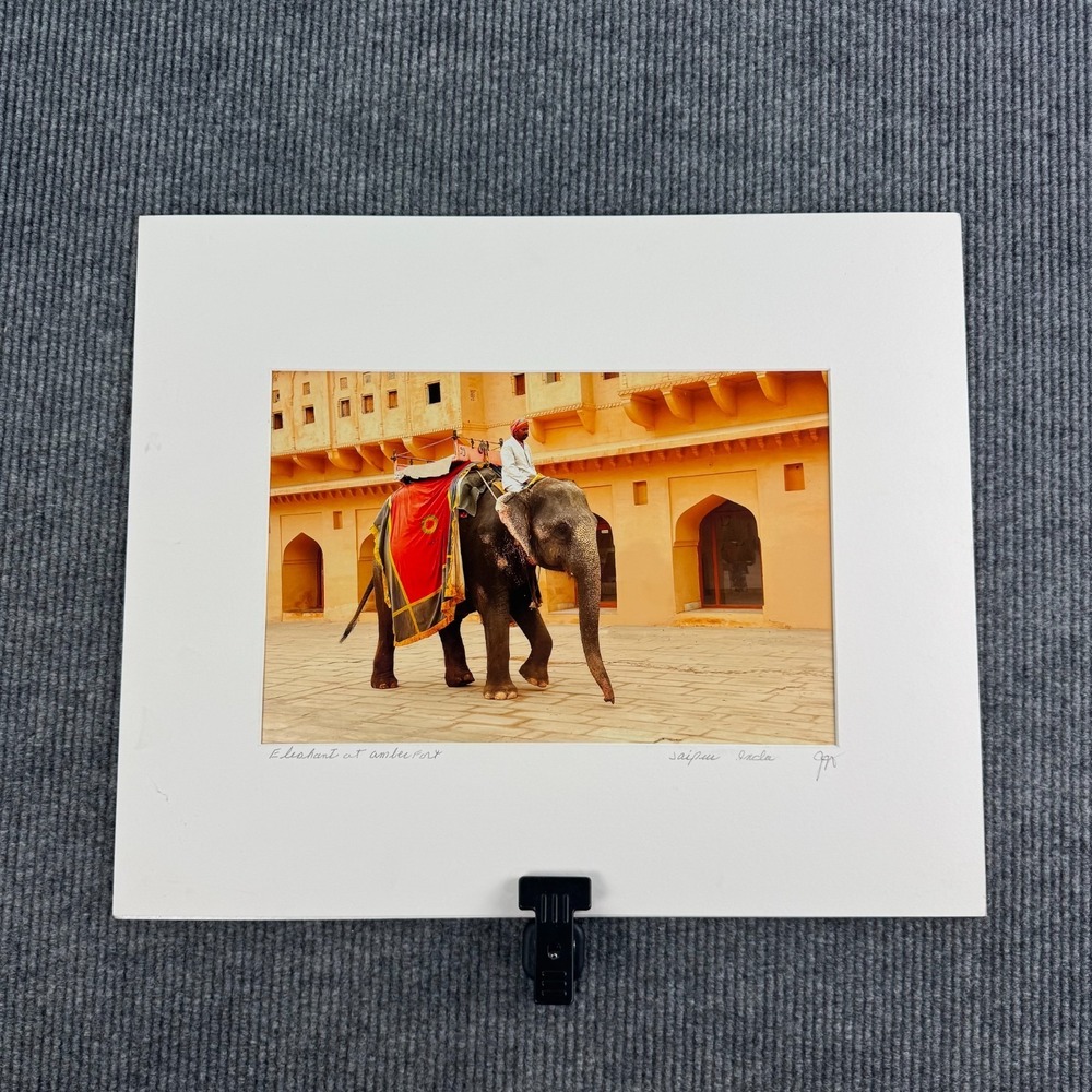 Elephant at Amber Fort Jaipur India Original Photograph Signed John Hutchinson